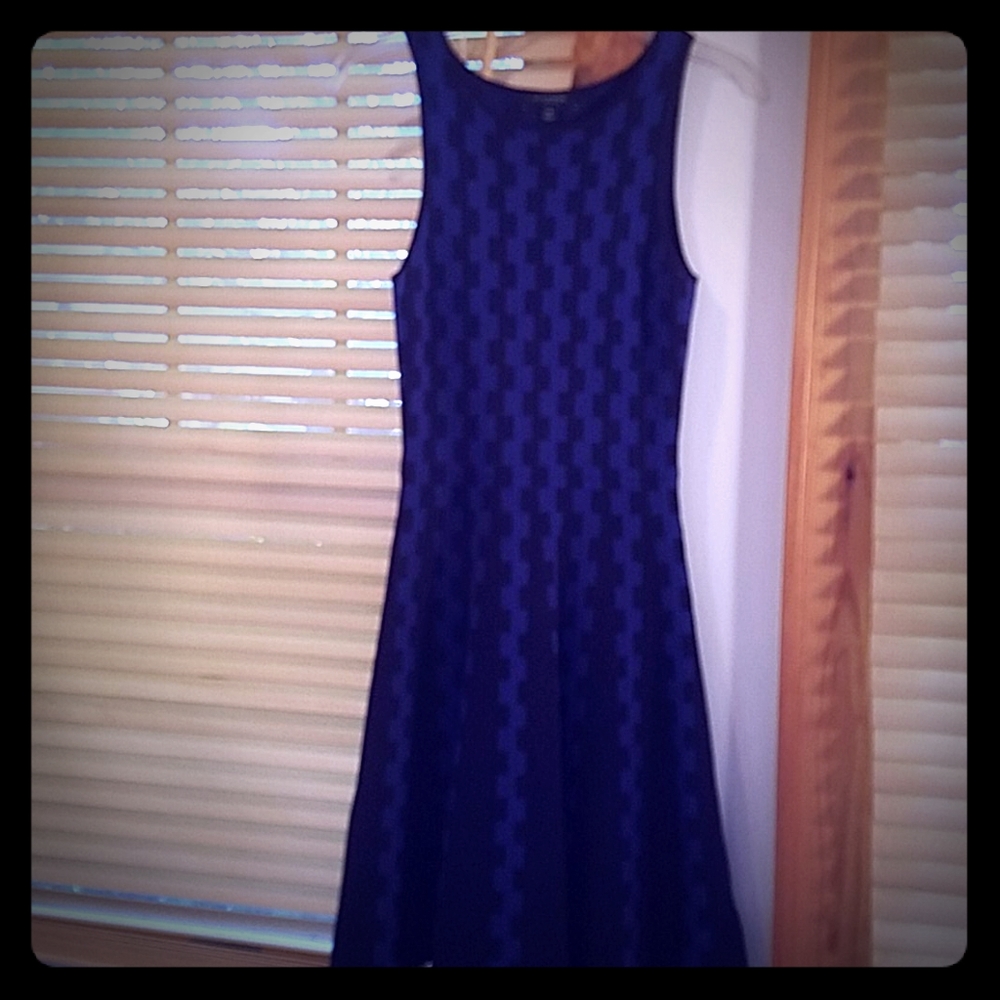 Ann Taylor royal and navy blue petite dress